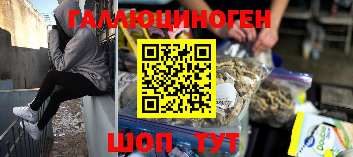 Псилоцибиновые грибы мицелий Ефремов