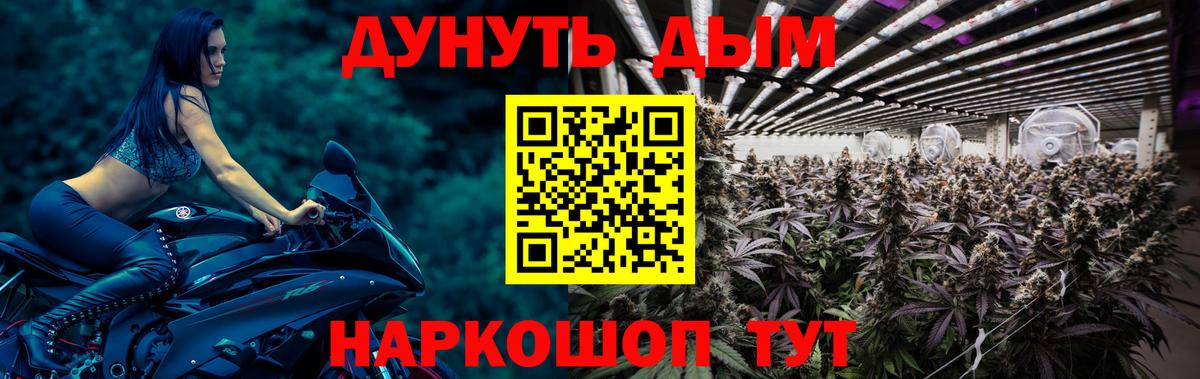 Каннабис MAZAR  Каннабис Amnesia  Вход с VPN  Ефремов  МАРИХУАНА семена  Бошки Шишки план 